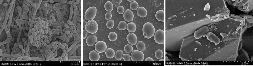 1538209786870377.png 图片1.png