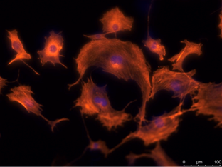 1539331429688390.png image.png