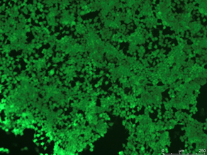 1539331438453319.png image.png